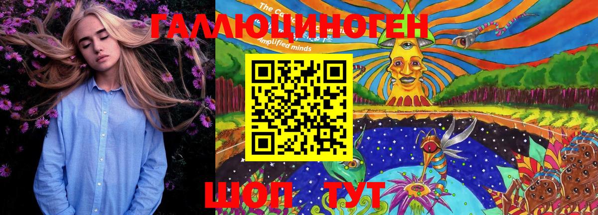 Псилоцибиновые грибы ЛСД  Псилоцибиновые грибы GOLDEN TEACHER  Вход с VPN  где купить наркоту  Горно-Алтайск 