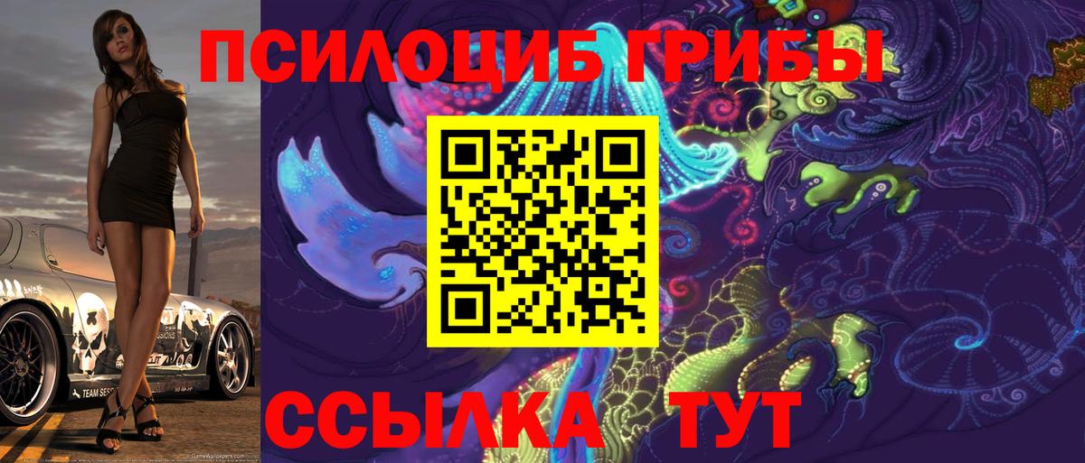 ГАШ Горно-Алтайск